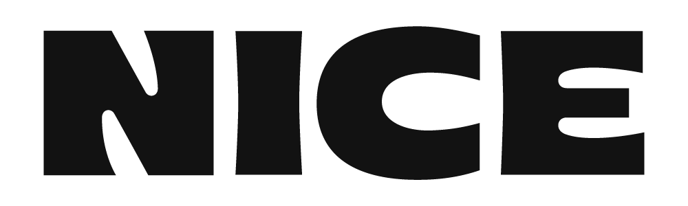 Nice Socials Logo